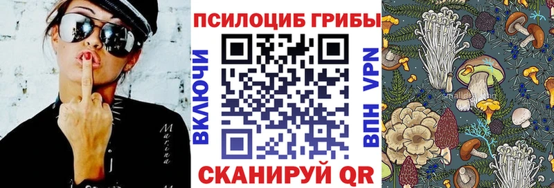 Галлюциногенные грибы мицелий  купить наркоту  Ишимбай 